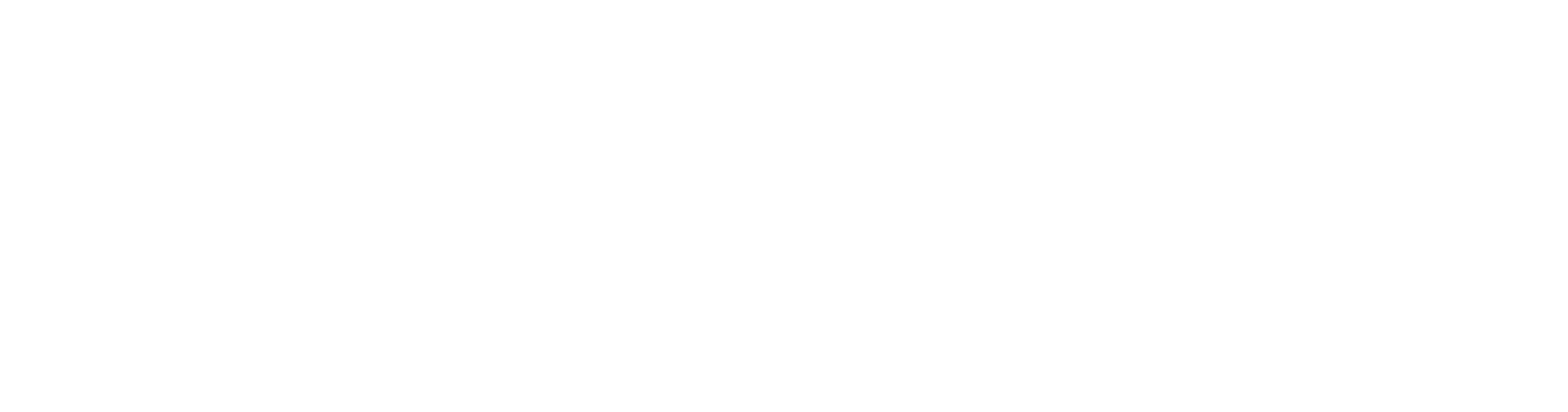 Exclusive Vacations logo